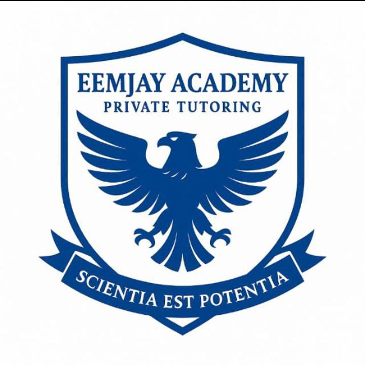 Eemjay Academy Logo